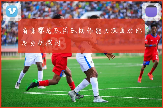 南京攀岩队团队协作能力深度对比与分析探讨